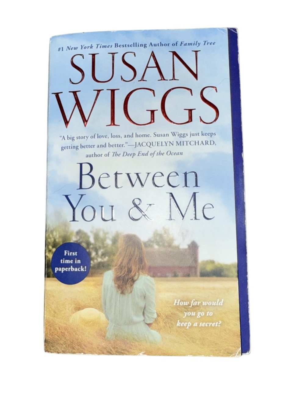 Between You & Me by Susan Wiggs Paperback Romance Novel